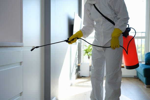 Best Commercial Mold Remediation in Kirkland, WA